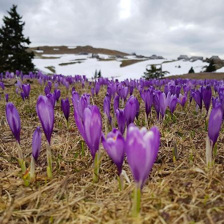 Chalet Pehta Velika Planina Villa Stahovica Luaran gambar