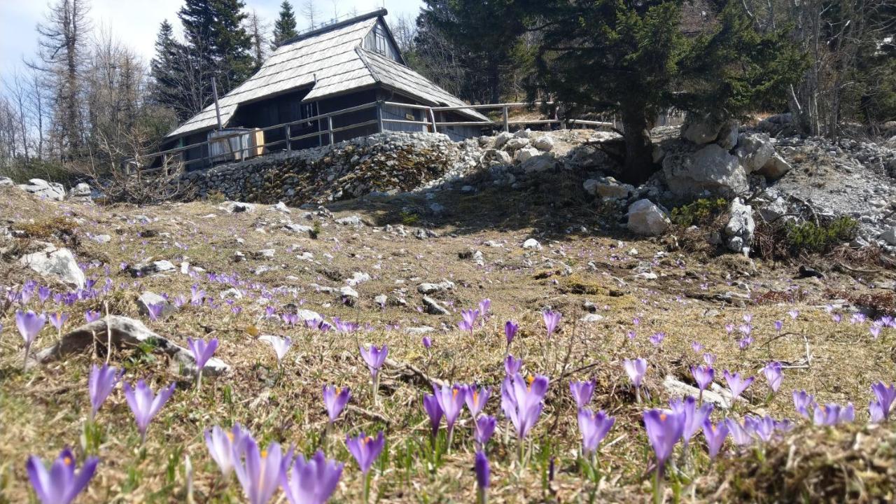 Chalet Pehta Velika Planina Villa Stahovica Luaran gambar