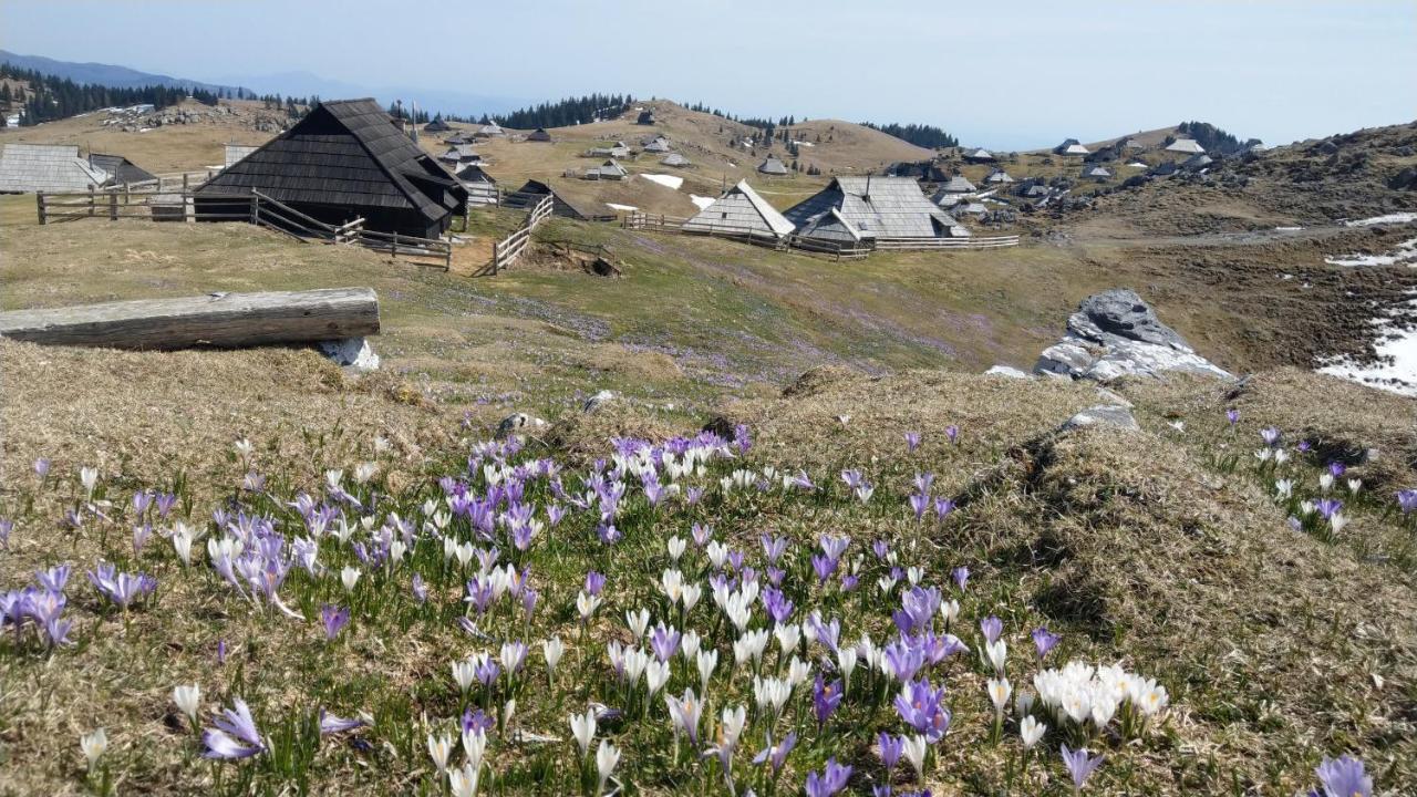 Chalet Pehta Velika Planina Villa Stahovica Luaran gambar