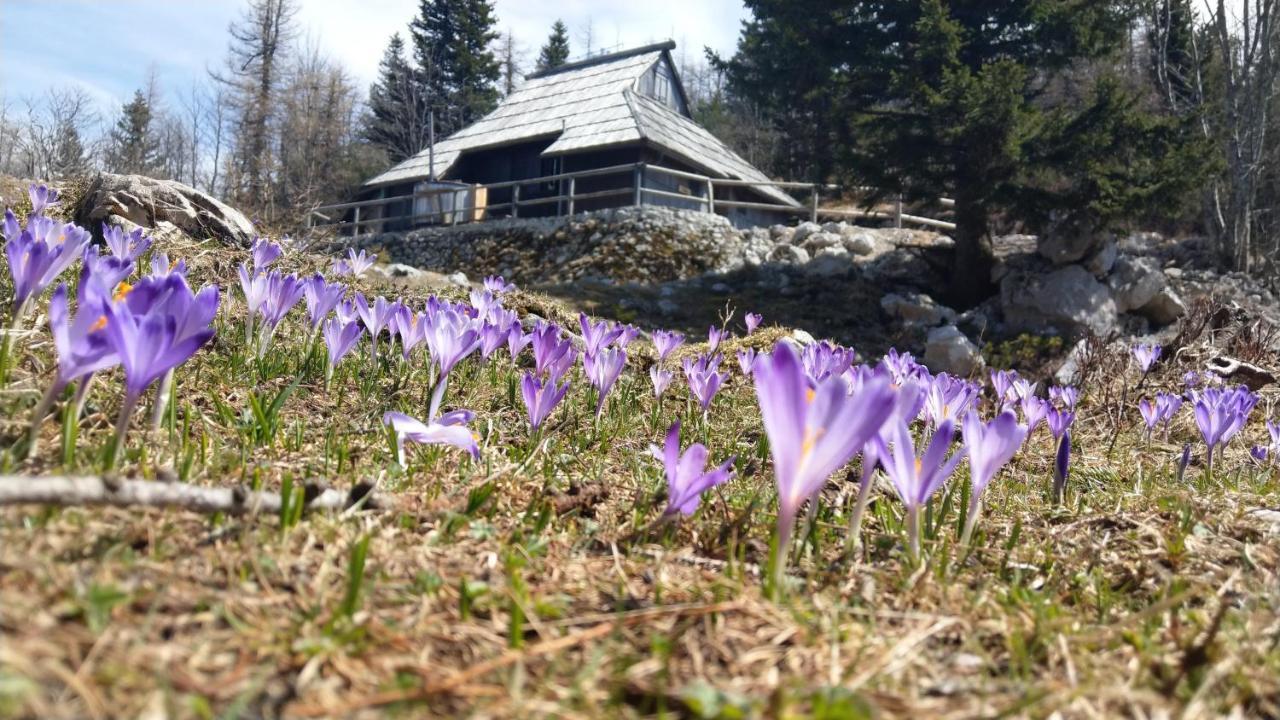 Chalet Pehta Velika Planina Villa Stahovica Luaran gambar