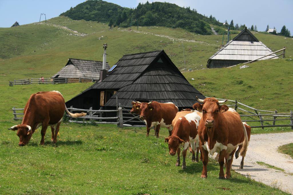 Chalet Pehta Velika Planina Villa Stahovica Bilik gambar