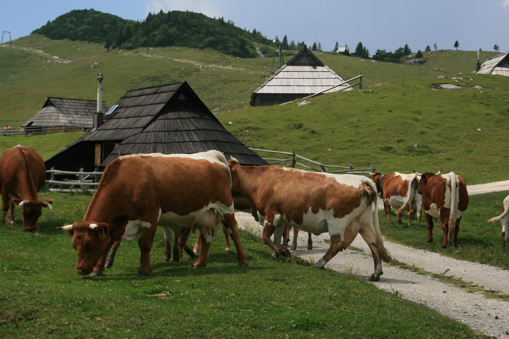 Chalet Pehta Velika Planina Villa Stahovica Bilik gambar