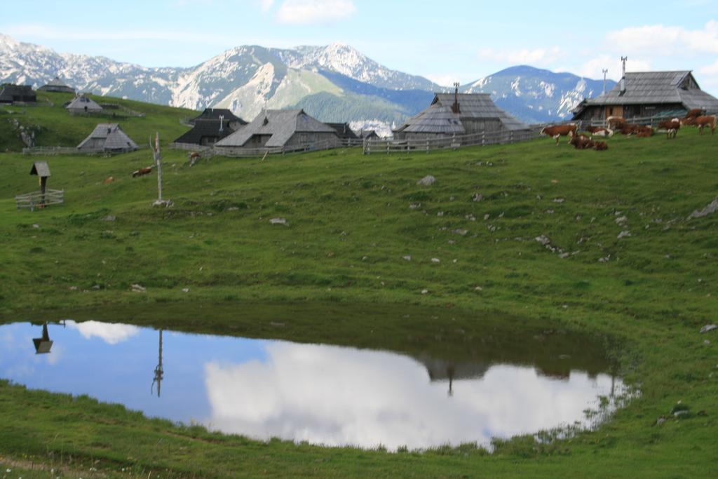 Chalet Pehta Velika Planina Villa Stahovica Bilik gambar