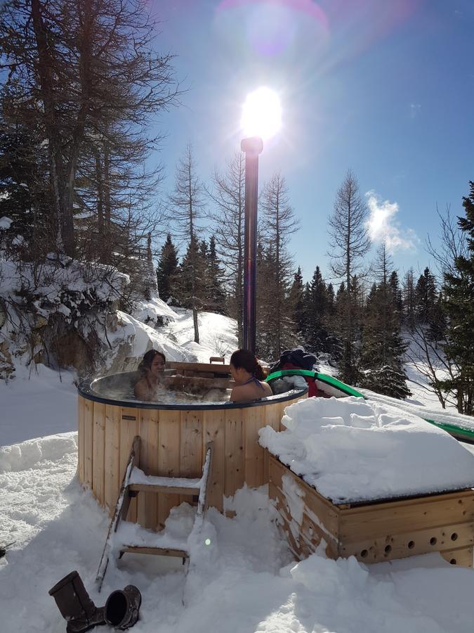 Chalet Pehta Velika Planina Villa Stahovica Luaran gambar